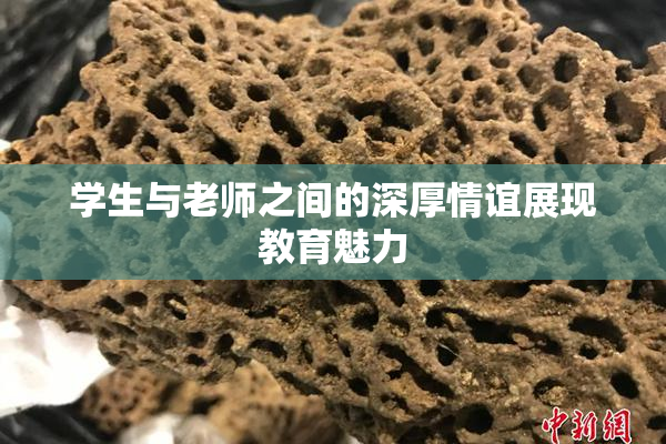 学生与老师之间的深厚情谊展现教育魅力