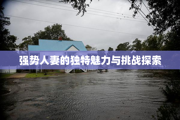 强势人妻的独特魅力与挑战探索