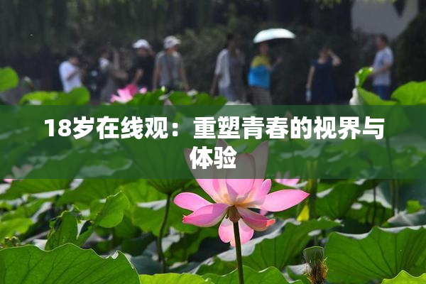 18岁在线观：重塑青春的视界与体验