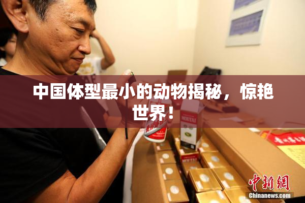 中国体型最小的动物揭秘，惊艳世界！