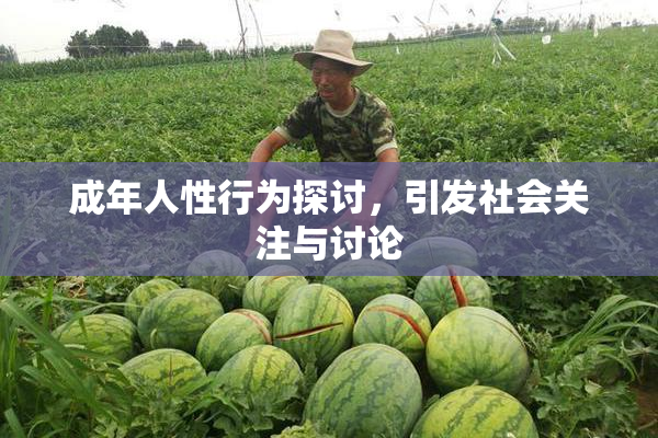 成年人性行为探讨，引发社会关注与讨论