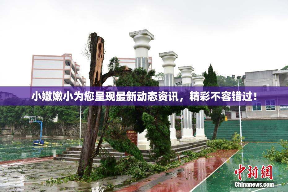 小嫩嫩小为您呈现最新动态资讯，精彩不容错过！