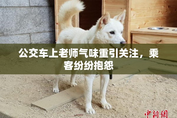 公交车上老师气味重引关注，乘客纷纷抱怨