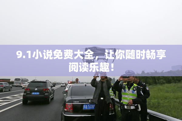 9.1小说免费大全，让你随时畅享阅读乐趣！