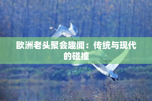 欧洲老头聚会趣闻：传统与现代的碰撞