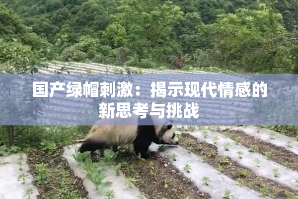 国产绿帽刺激：揭示现代情感的新思考与挑战