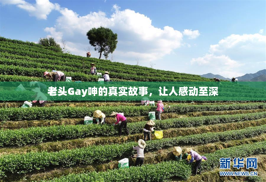 老头Gay呻的真实故事，让人感动至深