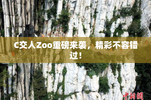C交人Zoo重磅来袭，精彩不容错过！