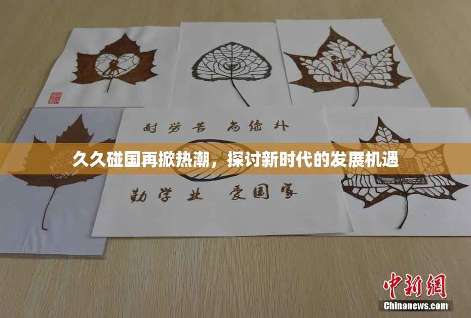 久久碰国再掀热潮，探讨新时代的发展机遇