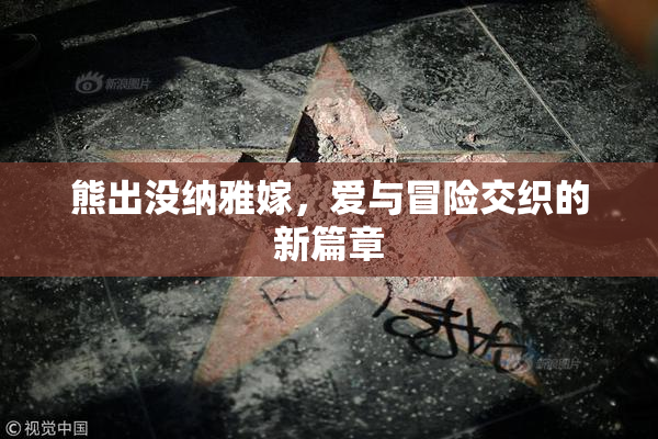 熊出没纳雅嫁，爱与冒险交织的新篇章