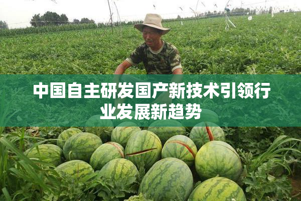 中国自主研发国产新技术引领行业发展新趋势