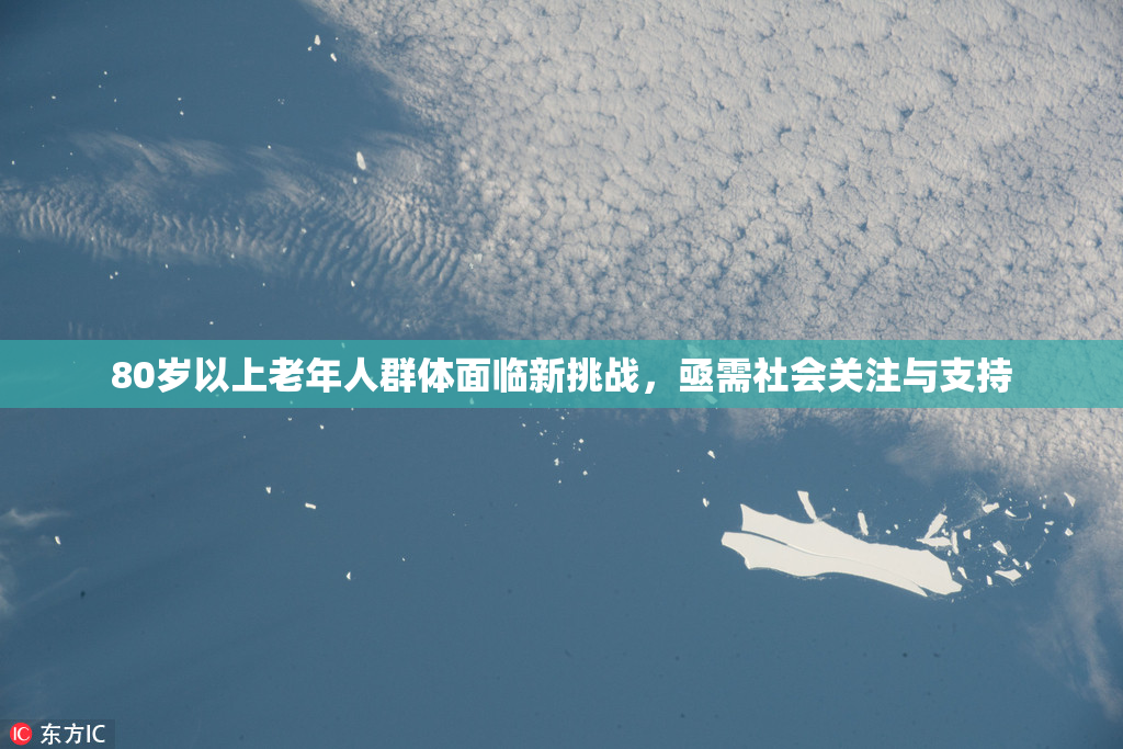 80岁以上老年人群体面临新挑战，亟需社会关注与支持