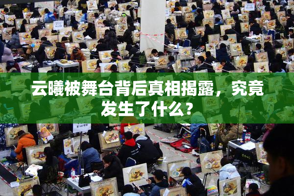 云曦被舞台背后真相揭露，究竟发生了什么？