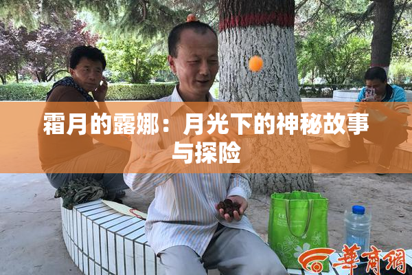霜月的露娜：月光下的神秘故事与探险