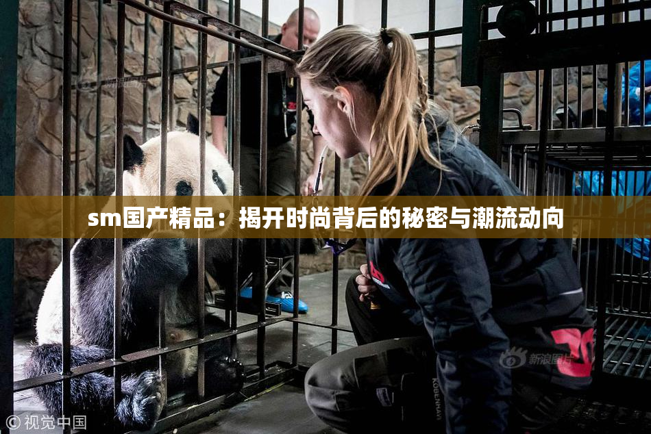 sm国产精品：揭开时尚背后的秘密与潮流动向