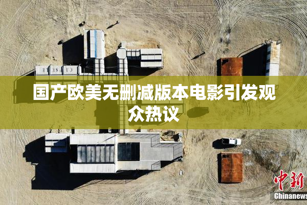 国产欧美无删减版本电影引发观众热议