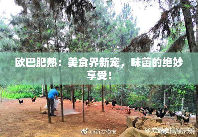 欧巴肥熟：美食界新宠，味蕾的绝妙享受！