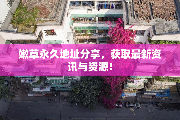 嫩草永久地址分享，获取最新资讯与资源！