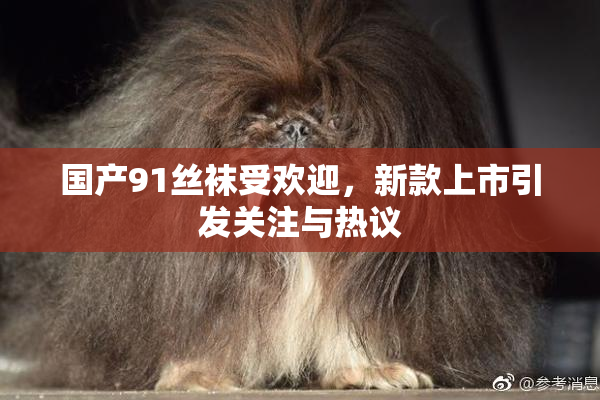国产91丝袜受欢迎，新款上市引发关注与热议