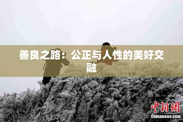 善良之路：公正与人性的美好交融