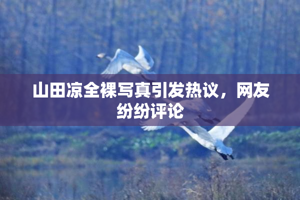 山田凉全裸写真引发热议，网友纷纷评论