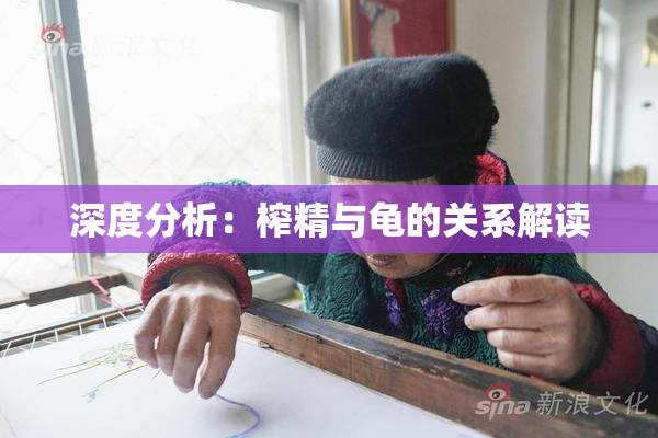 深度分析：榨精与龟的关系解读
