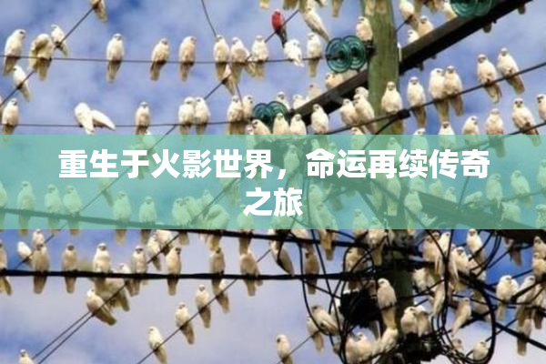 重生于火影世界，命运再续传奇之旅