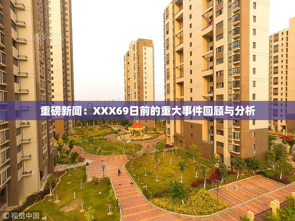 重磅新闻：XXX69日前的重大事件回顾与分析