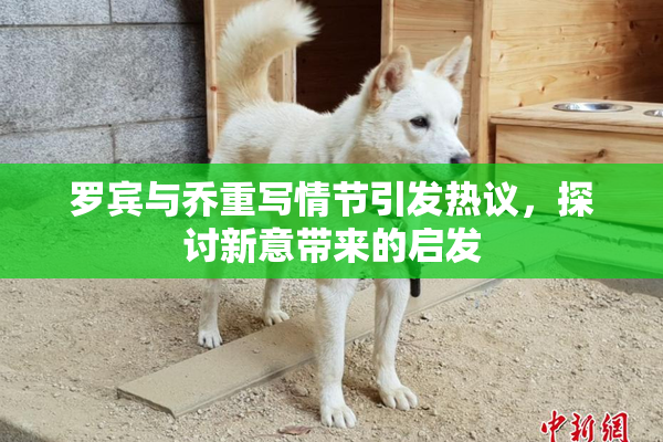 罗宾与乔重写情节引发热议，探讨新意带来的启发