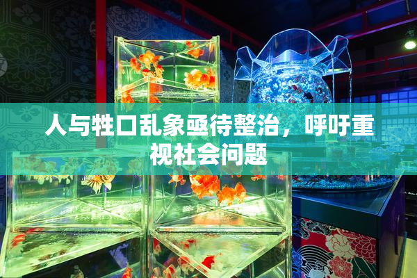 人与牲口乱象亟待整治，呼吁重视社会问题