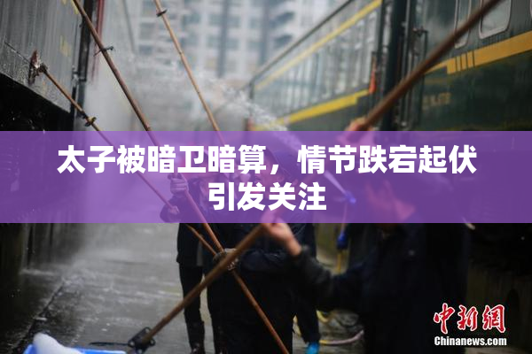 太子被暗卫暗算，情节跌宕起伏引发关注
