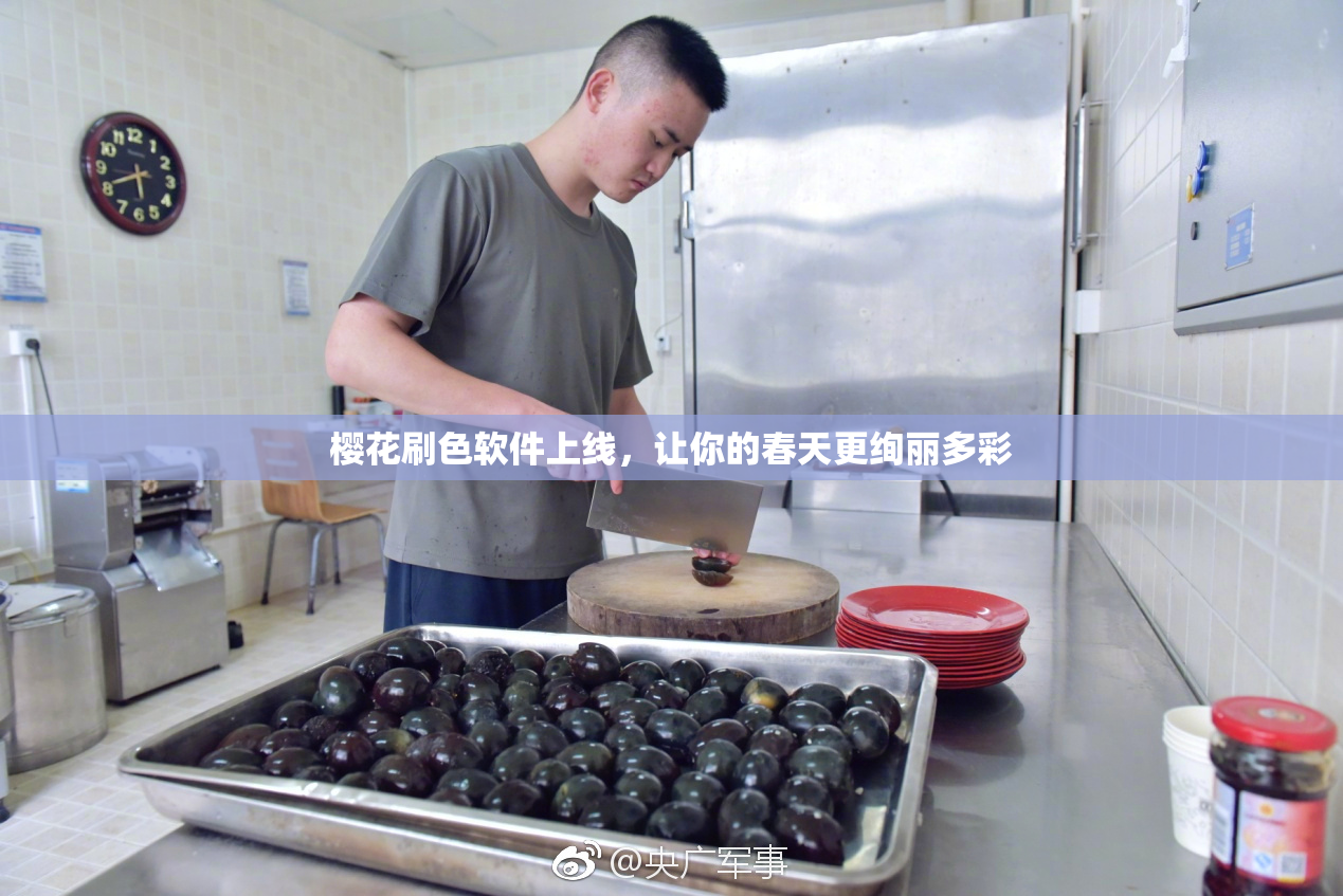 樱花刷色软件上线，让你的春天更绚丽多彩