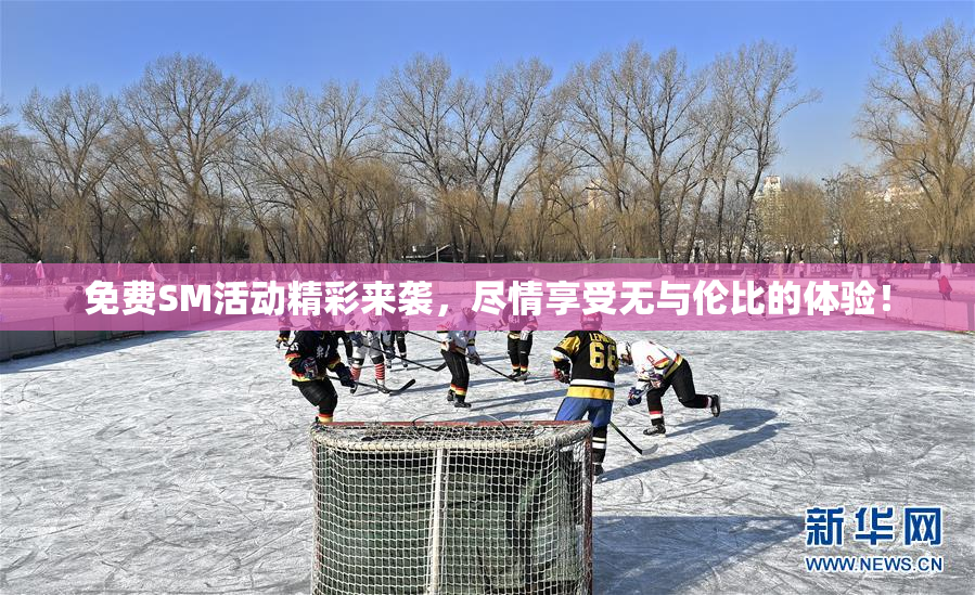 免费SM活动精彩来袭，尽情享受无与伦比的体验！