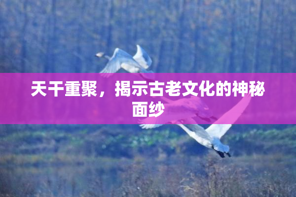 天干重聚，揭示古老文化的神秘面纱