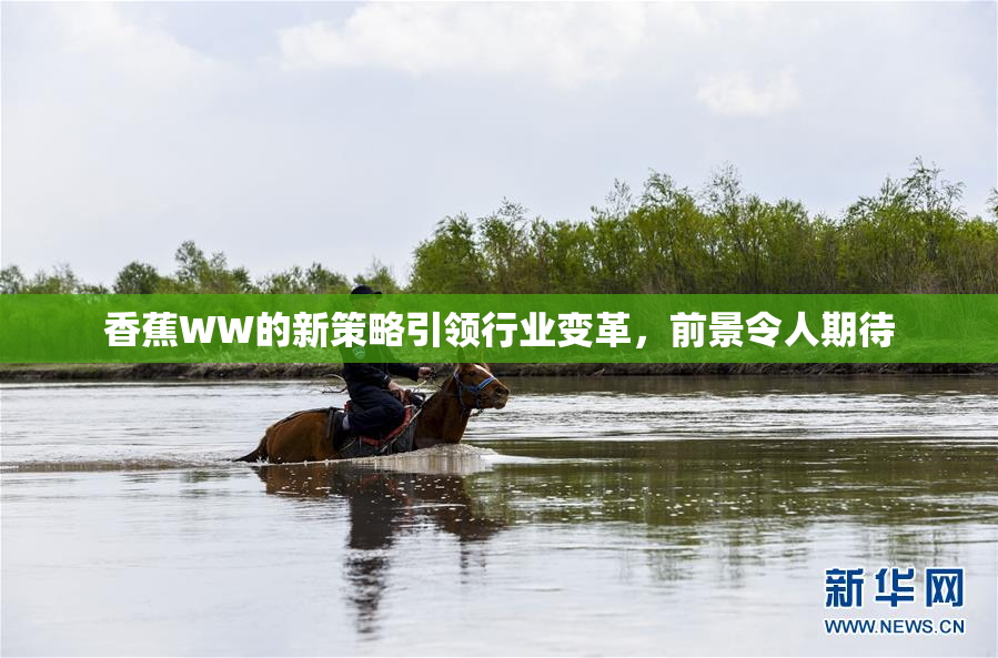 香蕉WW的新策略引领行业变革，前景令人期待