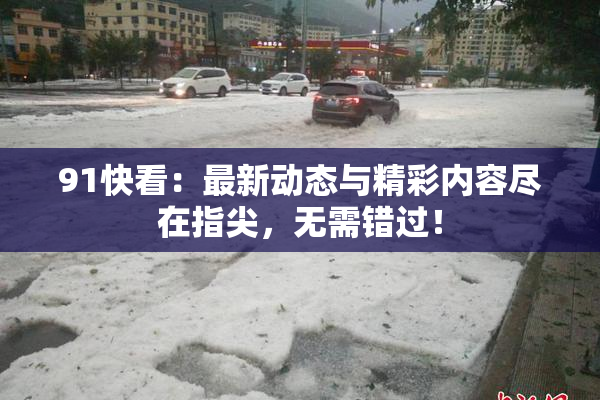 91快看：最新动态与精彩内容尽在指尖，无需错过！