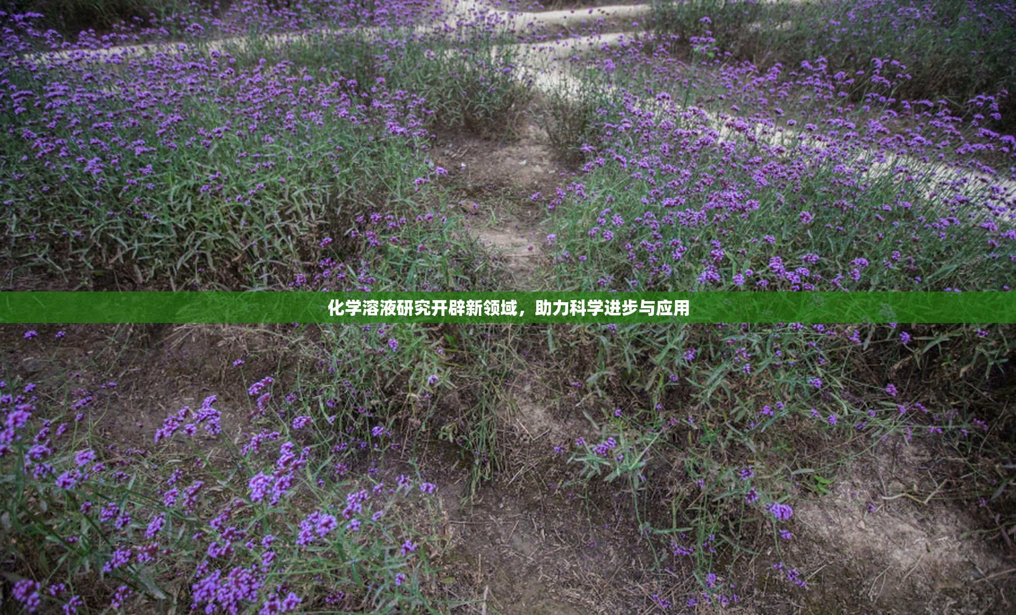 化学溶液研究开辟新领域，助力科学进步与应用
