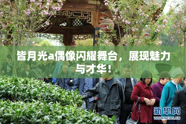 皆月光a偶像闪耀舞台，展现魅力与才华！