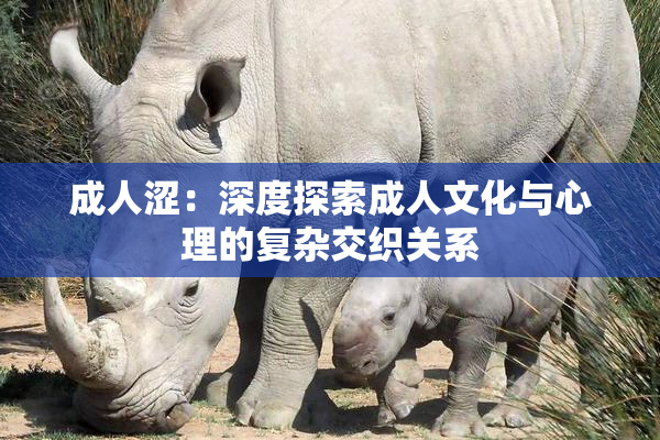 成人涩：深度探索成人文化与心理的复杂交织关系