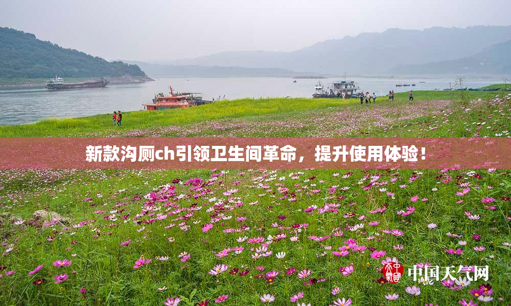 新款沟厕ch引领卫生间革命，提升使用体验！
