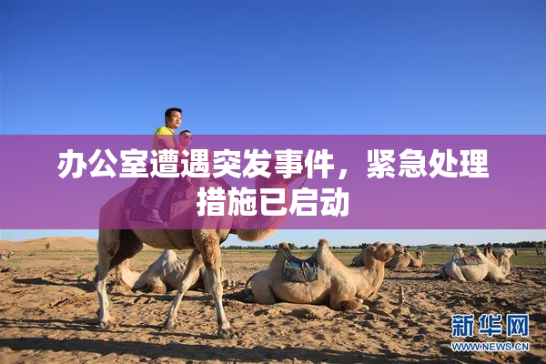 办公室遭遇突发事件，紧急处理措施已启动