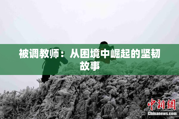 被调教师：从困境中崛起的坚韧故事