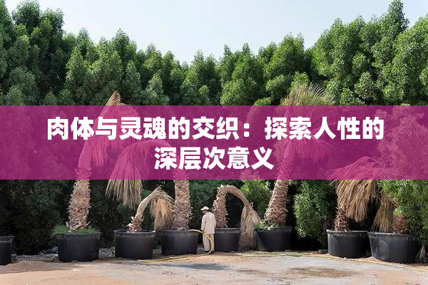 肉体与灵魂的交织：探索人性的深层次意义
