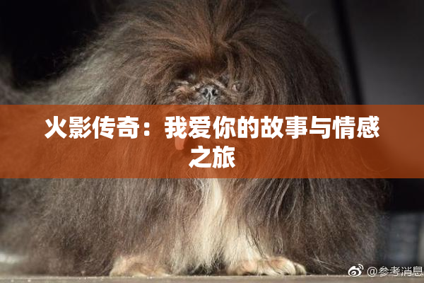 火影传奇：我爱你的故事与情感之旅