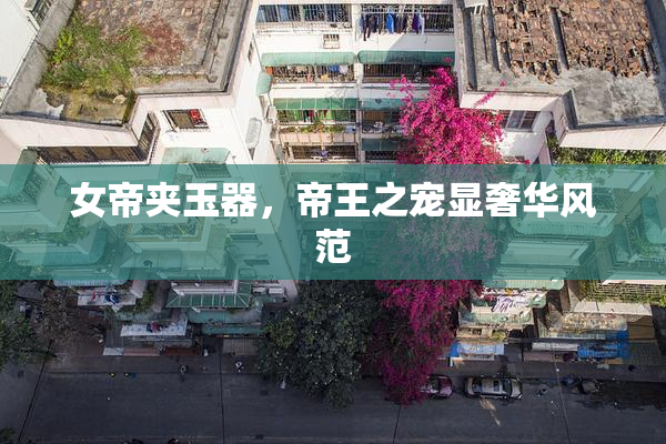 女帝夹玉器，帝王之宠显奢华风范
