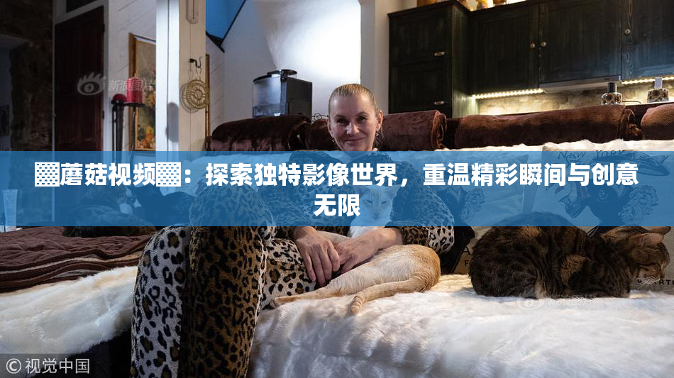 ▓蘑菇视频▓：探索独特影像世界，重温精彩瞬间与创意无限