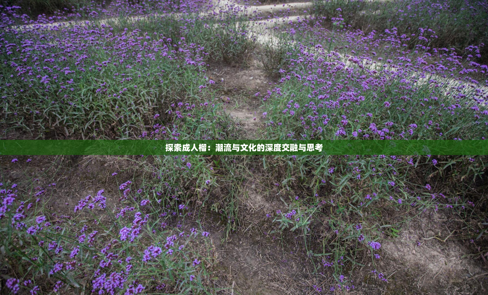 探索成人榴：潮流与文化的深度交融与思考
