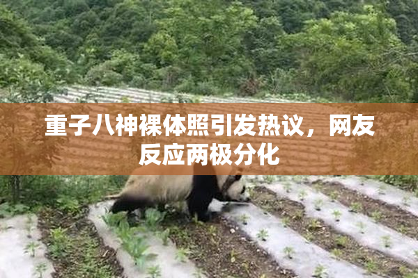 重子八神裸体照引发热议，网友反应两极分化