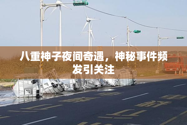 八重神子夜间奇遇，神秘事件频发引关注