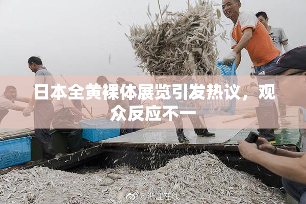 日本全黄裸体展览引发热议，观众反应不一